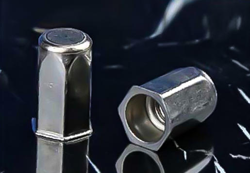 Stainless steel mengurangi kepala hex hex body tertutup ujung